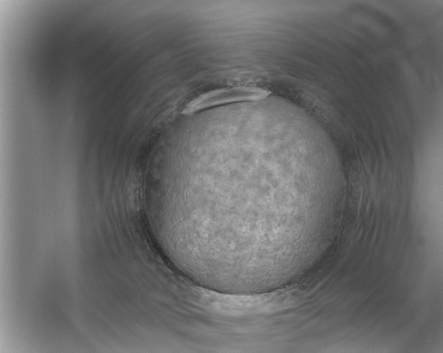 X0000058130034200510072017