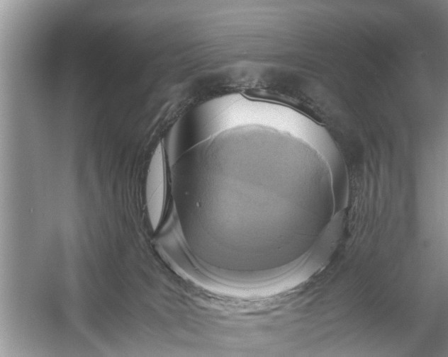 X0000058130035200510072017