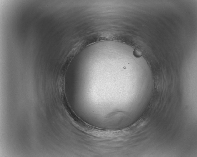 X0000058130036200510072017