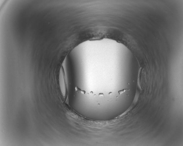 X0000058130037200510072017