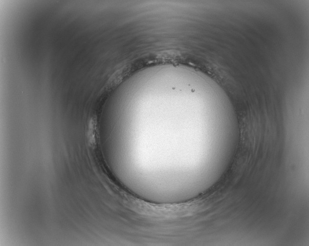 X0000058130038200510072017