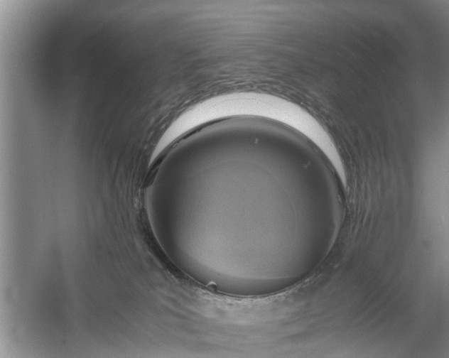 X0000058130039200510072017