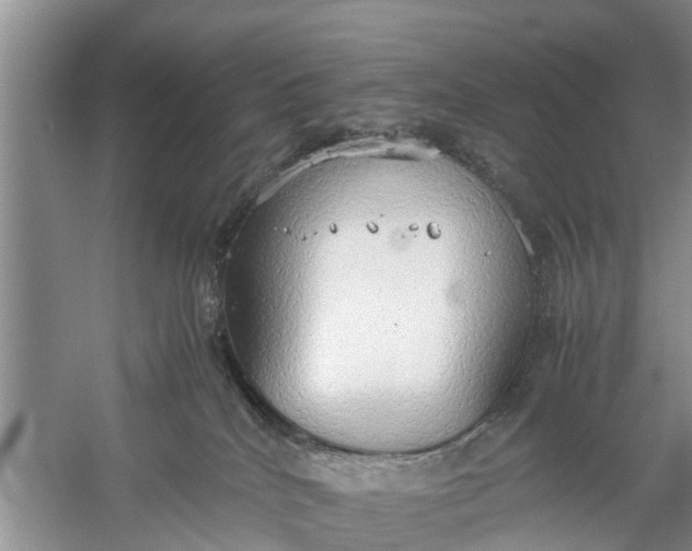 X0000058130040200510072017