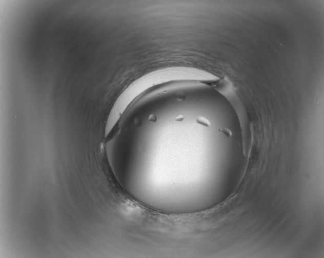 X0000058130041200510072017