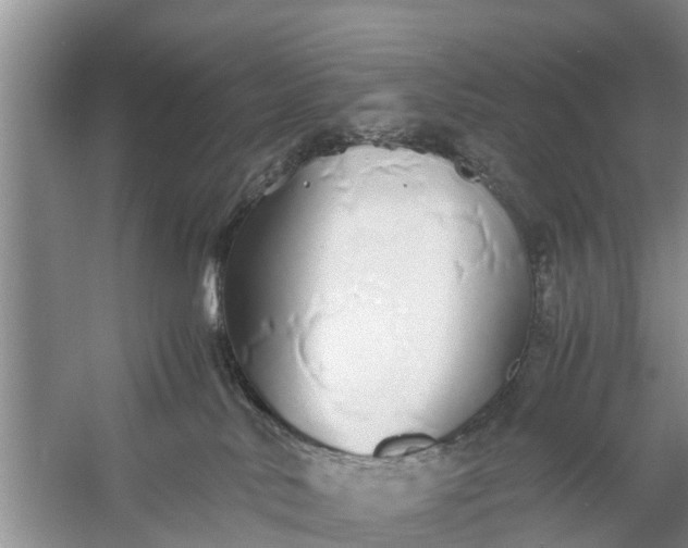 X0000058130042200510072017