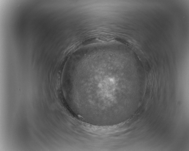 X0000058130043200510072017