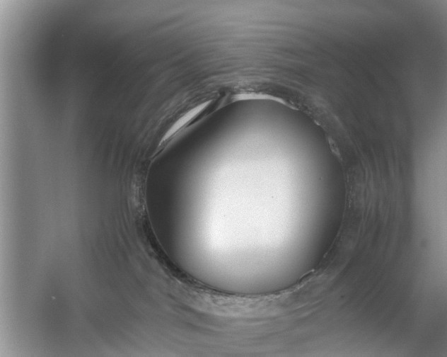 X0000058130044200510072017