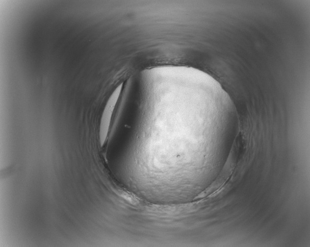 X0000058130045200510072017