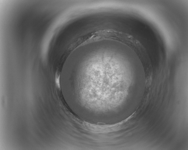 X0000058130047200510072016