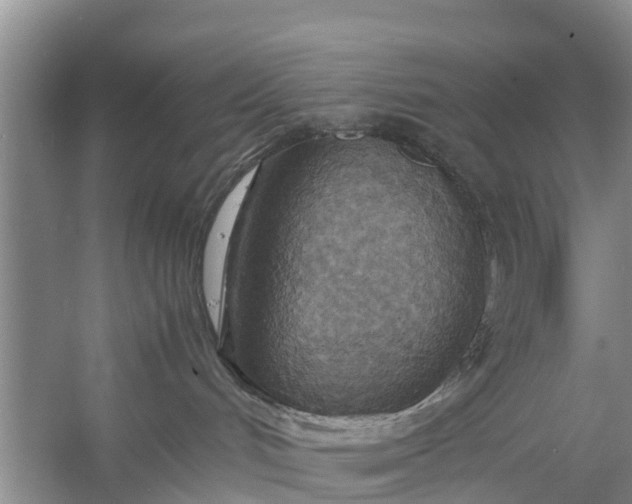 X0000058130048200510072016