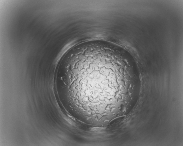 X0000058130051200510072016