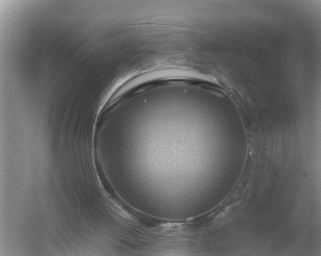 X0000058130052200510072016