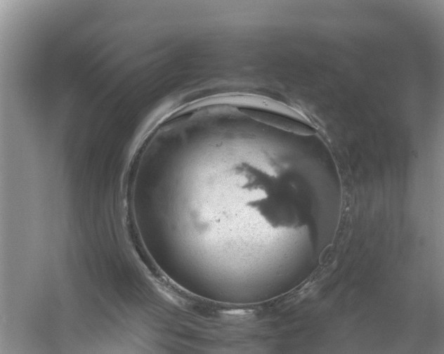 X0000058130053200510072016