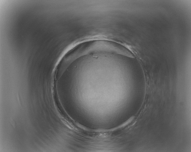 X0000058130056200510072016