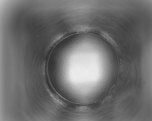 X0000058130058200510072016