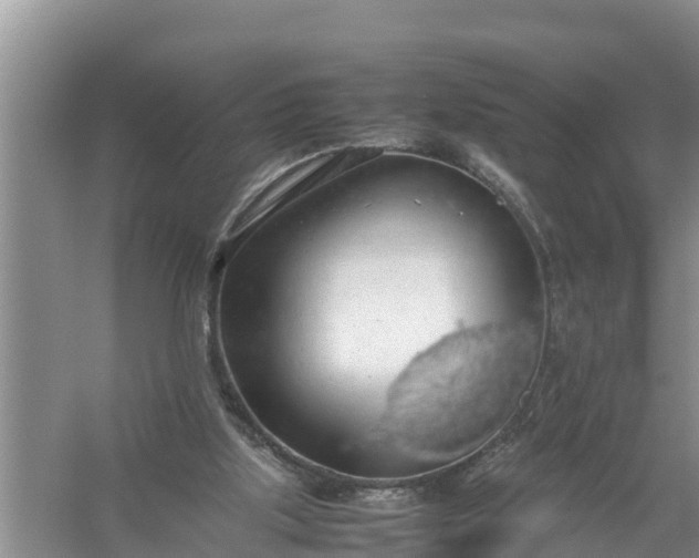 X0000058130059200510072016