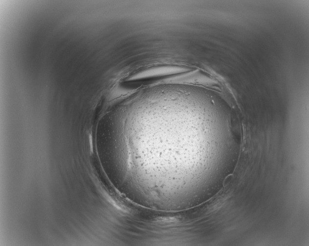 X0000058130061200510072016