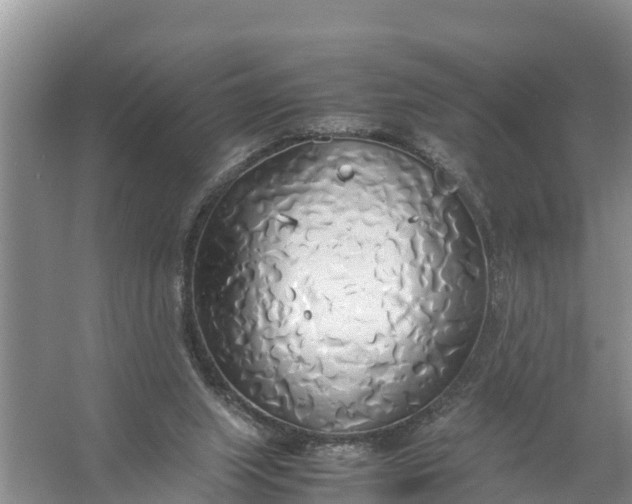 X0000058130063200510072016