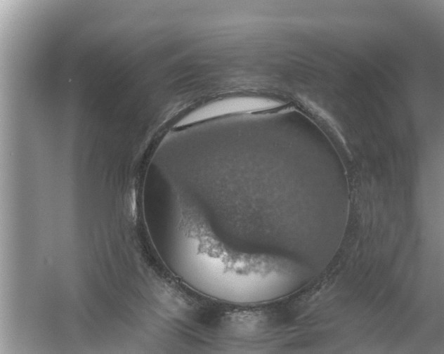 X0000058130067200510072016