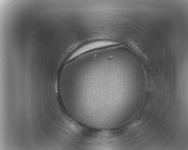 X0000058130068200510072016