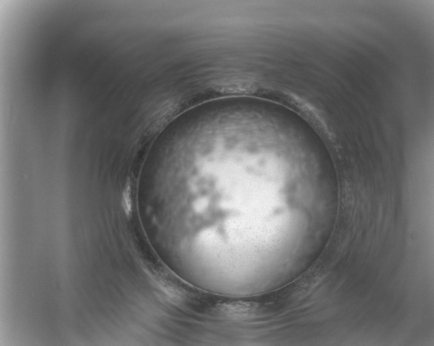 X0000058130069200510072016