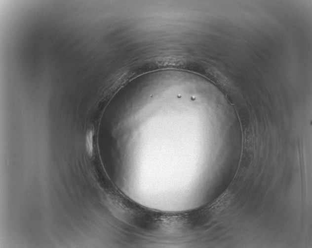 X0000058130070200510072016