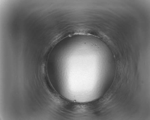 X0000058130071200510072016