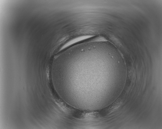 X0000058130072200510072016