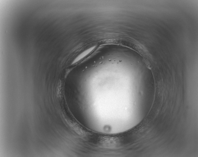 X0000058130073200510072016