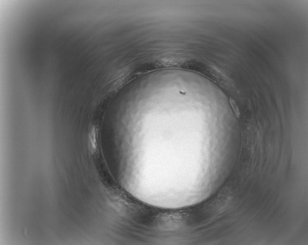 X0000058130075200510072016