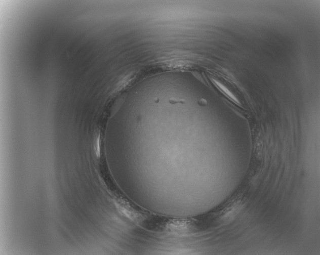 X0000058130076200510072016