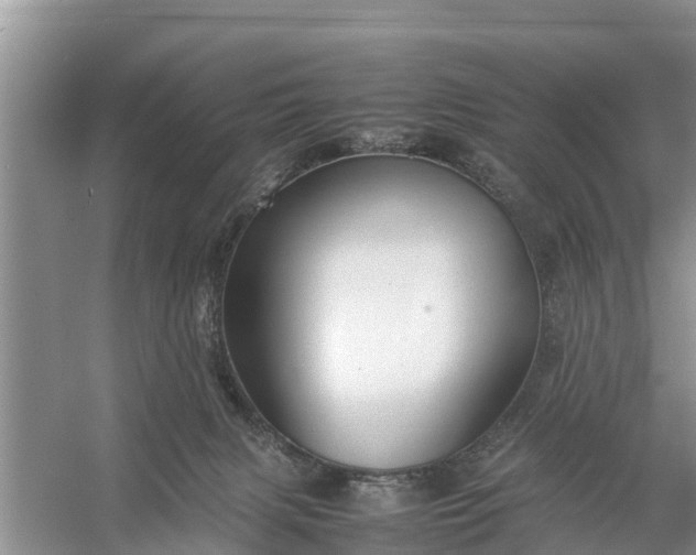 X0000058130079200510072016