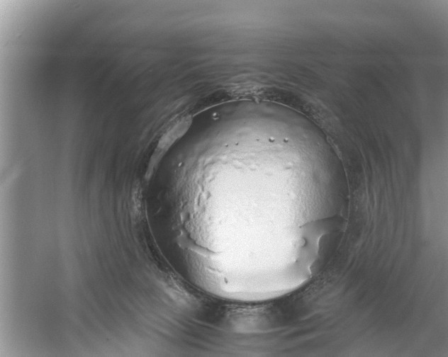 X0000058130081200510072016