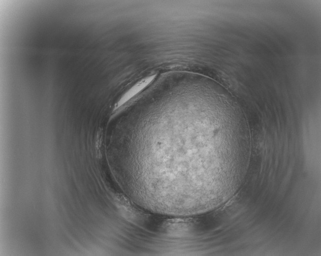 X0000058130082200510072016