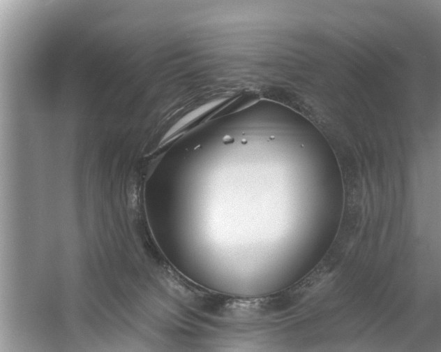 X0000058130084200510072016