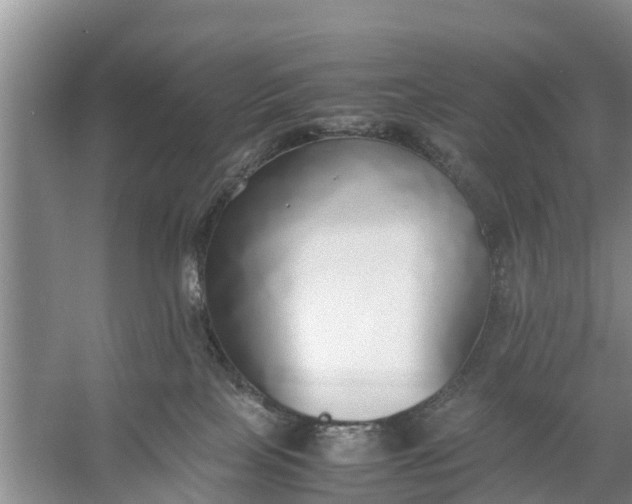 X0000058130089200510072016