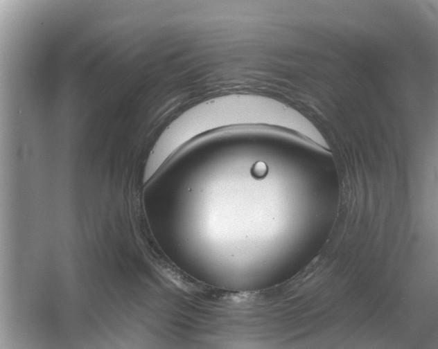 X0000058130092200510072016