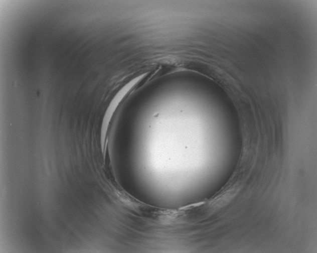 X0000058130096200510072016