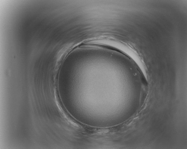 X0000058130097200510072016