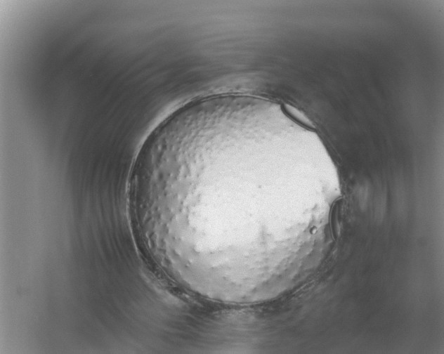 X0000058130100200510072016