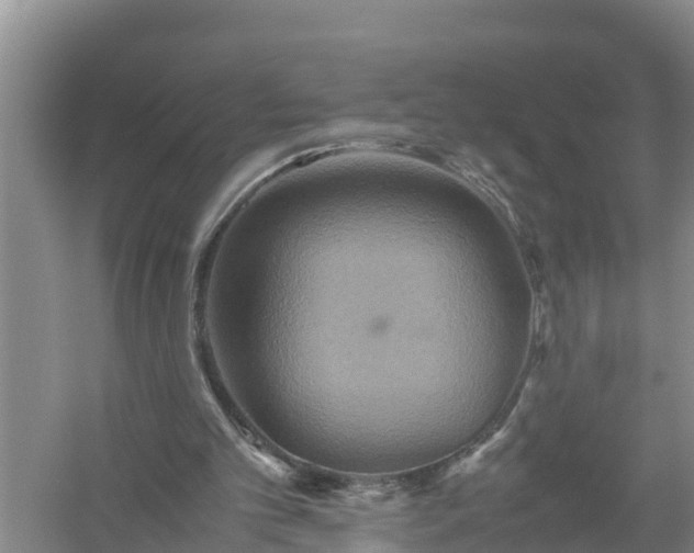 X0000058130101200510072016