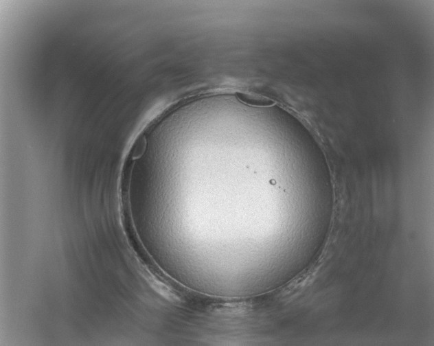 X0000058130102200510072016