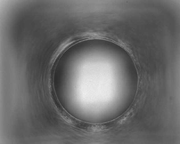 X0000058130103200510072016