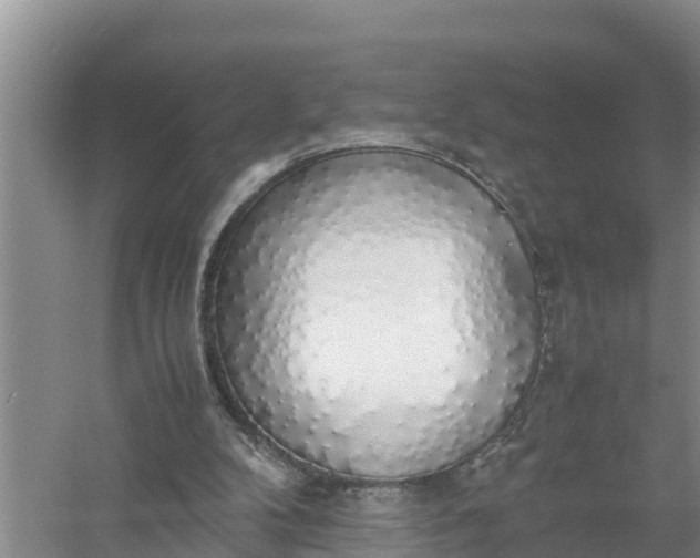 X0000058130104200510072016