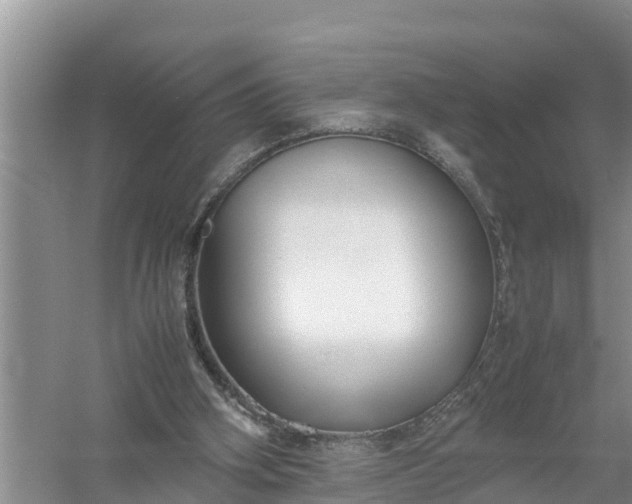 X0000058130106200510072015