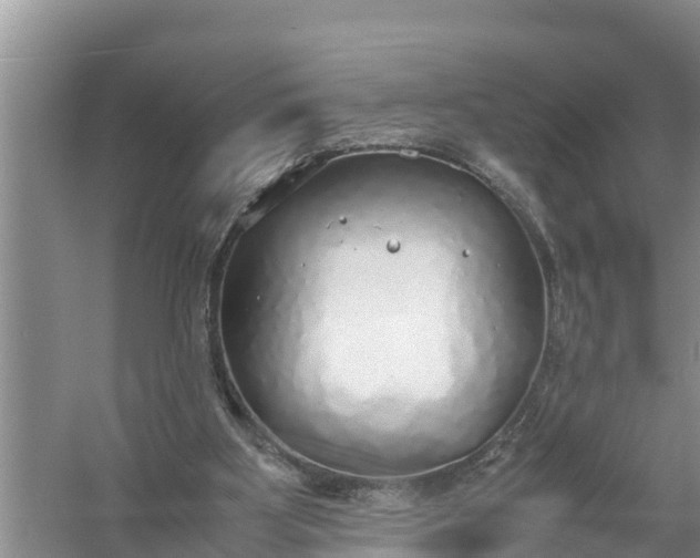 X0000058130107200510072015