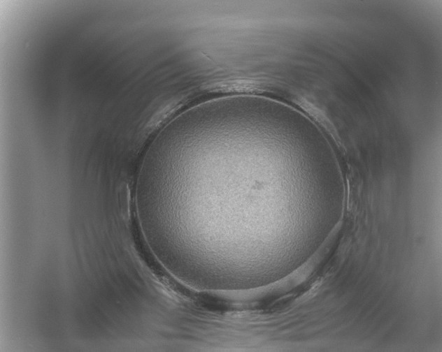 X0000058130109200510072015