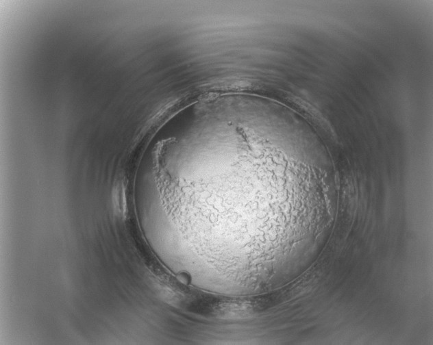 X0000058130110200510072015