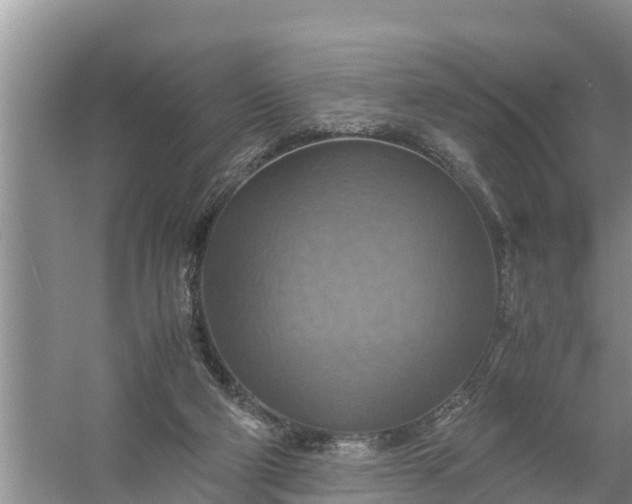 X0000058130114200510072015