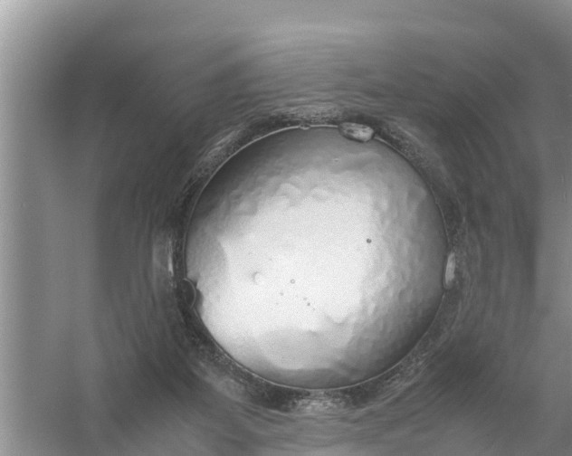 X0000058130115200510072015